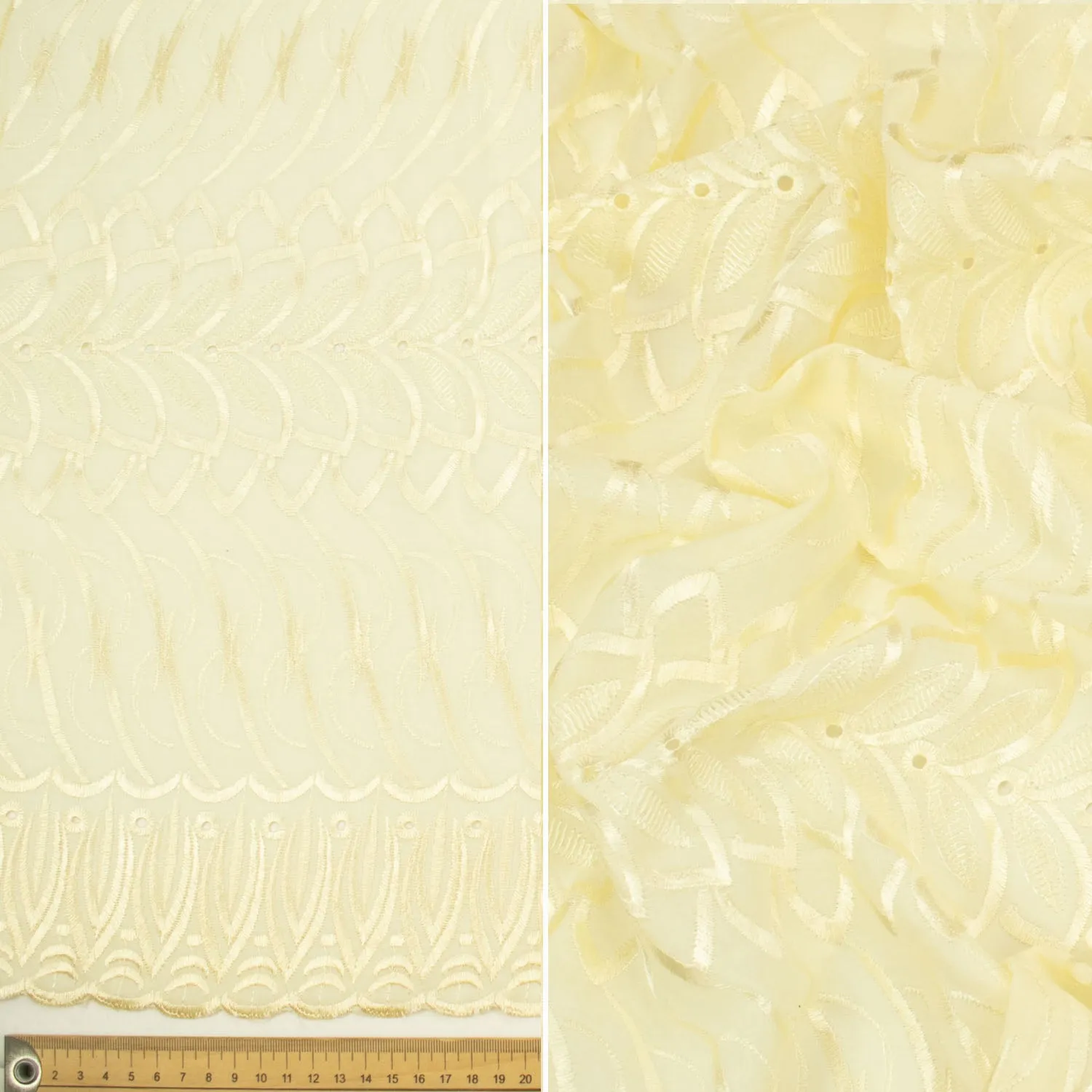 Embroidered Eyelet Cotton Anglaise Lace