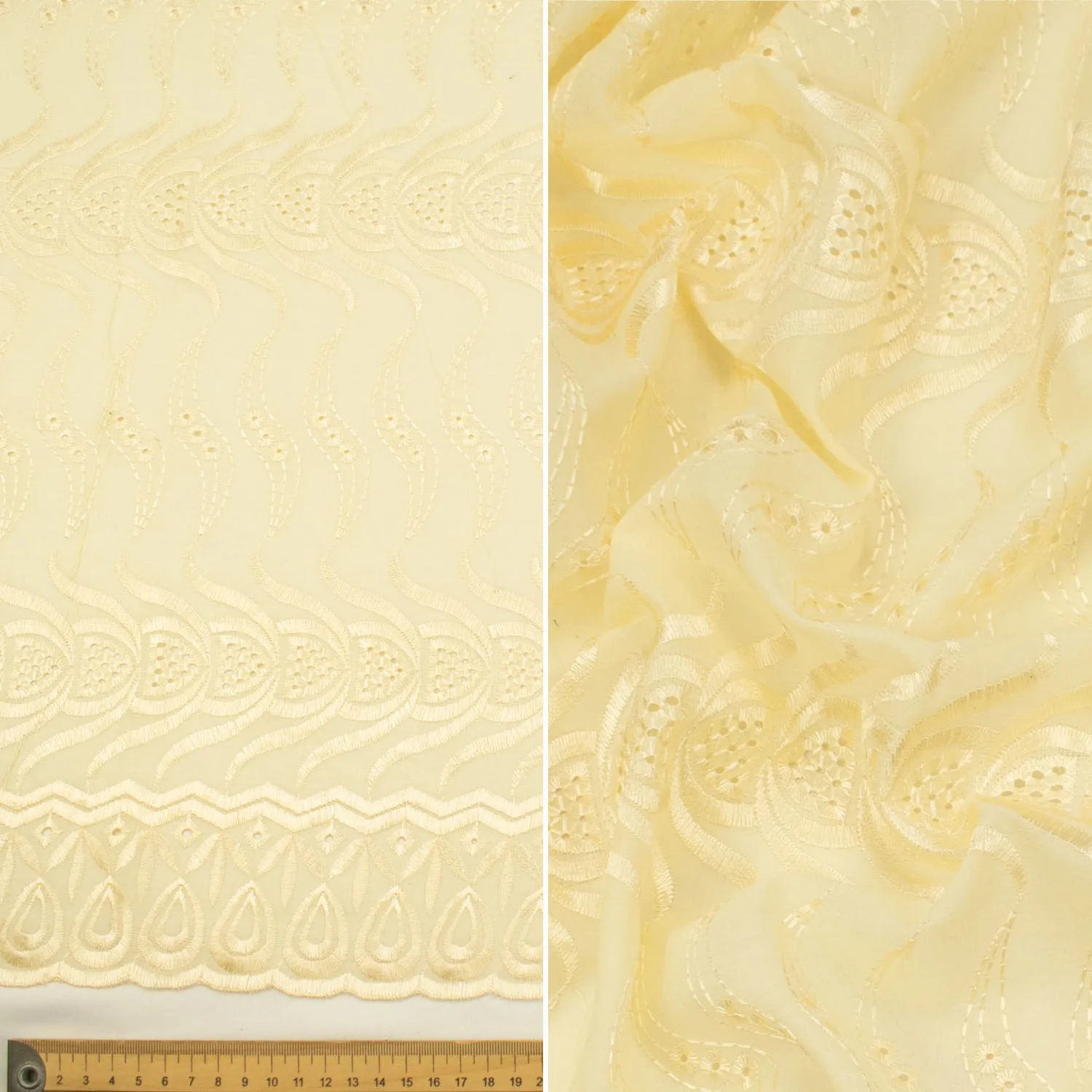 Embroidered Eyelet Cotton Anglaise Lace