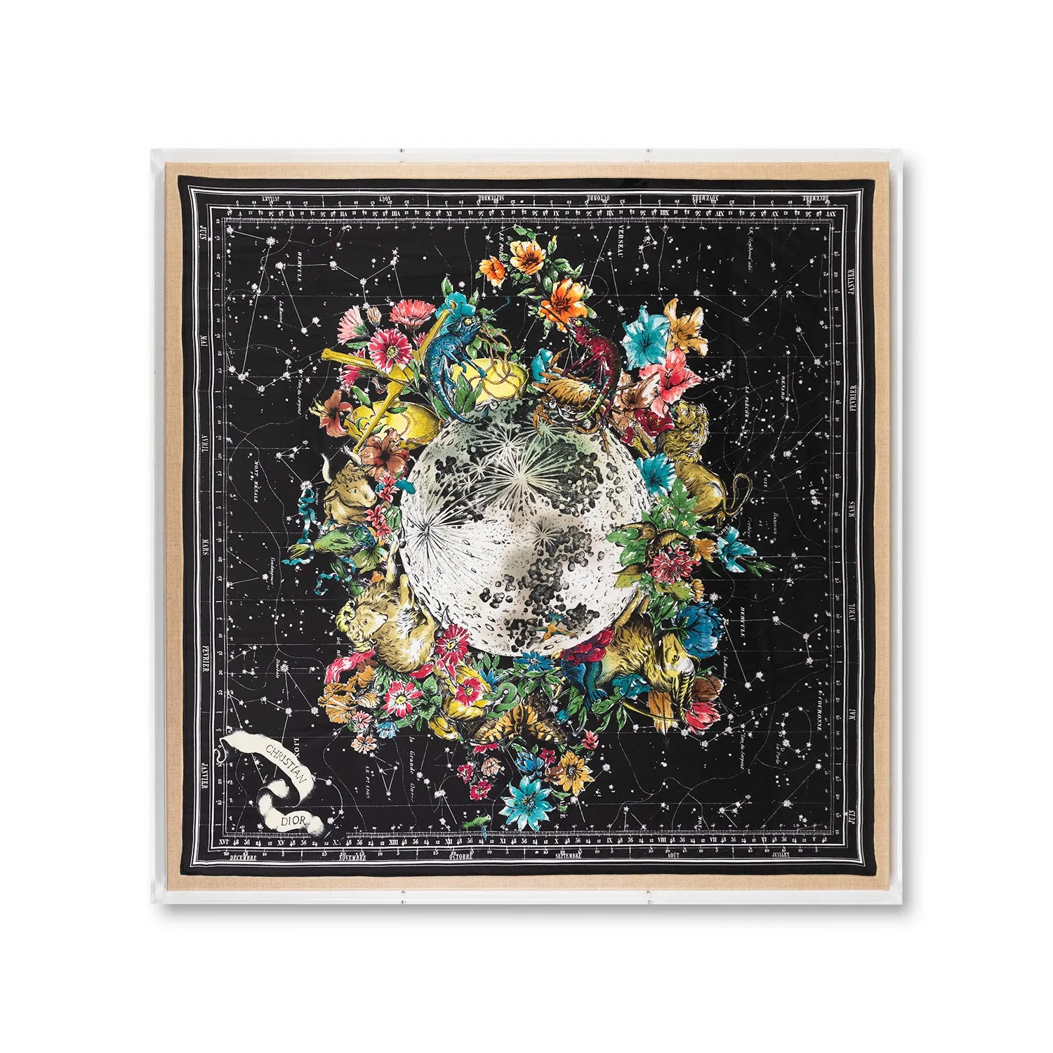 Framed Christian Dior Zodiac Scarf in a 36x36x2 Shadowbox